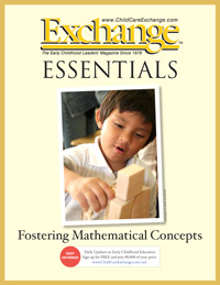 Fostering Mathematical Concepts